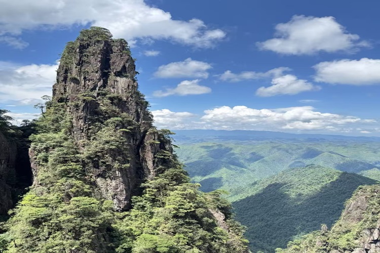 郴州旅游四天三晚莽山五指峰+東江湖+飛天山+白廊+蘇仙嶺+裕后街